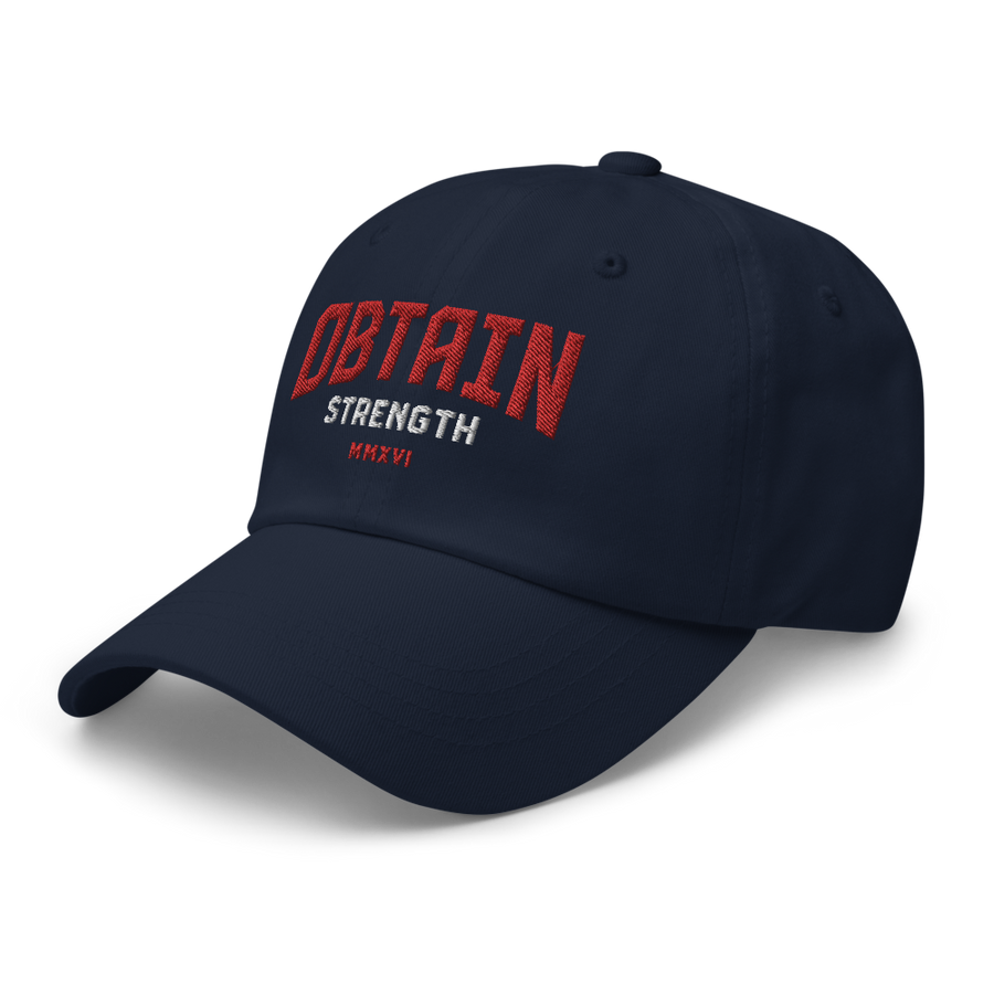 Navy Bent Logo Dad Hat